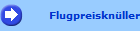 Flugpreiskn�ller